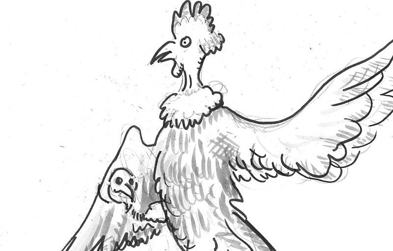 Poets Answer an Age-Old Question: Why did the chicken cross the road? [Part 1]
